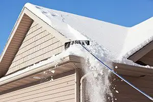 roof rake