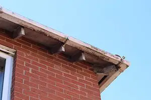 rotting fascia board