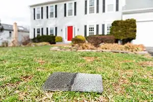 shingle damage from wind