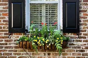 fiber-lined planter