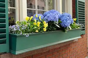 wood planter
