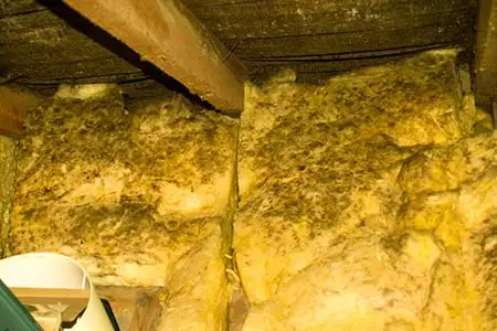 wet insulation