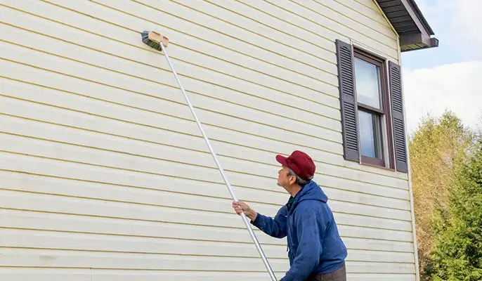 Maintenance Tips for Your Vinyl Siding