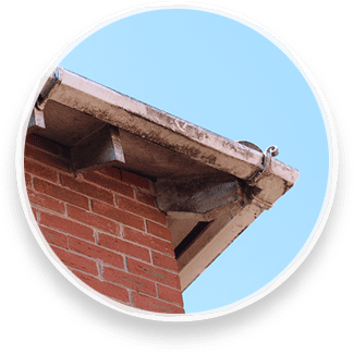 soffit damage