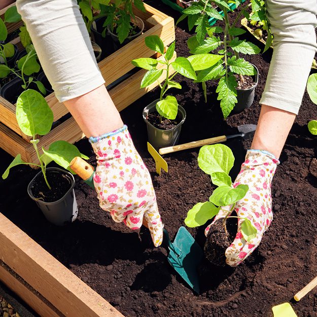 Exercise Your Green Thumb